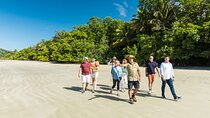 Cairns Super Saver: Reef Cruise, Daintree & Kuranda Rail/Skyrail