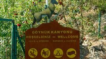 Göynük Canyon Adventure: Nature’s Hidden Gem
