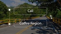 Cali to or from Coffee Region Private Transfer