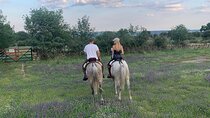 Horseback riding from Madrid