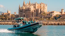 2 hours by speedboat with return trip in Puerto Club de Mar