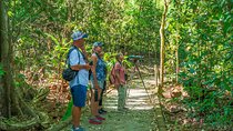 Carara National Park Guided Tour