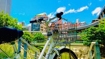 Okinawa E-bike Rental (CityCycle Type)