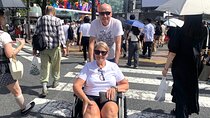 Full-Day Accessible Tour of Tokyo for Wheelchair Users