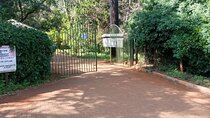 Private Day Tour to Nairobi Arboretum and Nairobi National Museum