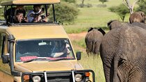 4-Day Astonish Mikumi NP and Ruaha National Park
