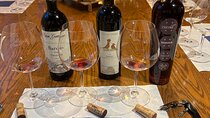 Tasting of Piedmontese wines. A journey in 5 tastings 