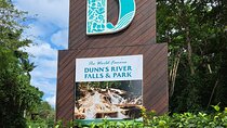 Private Daytrip to Dunn's River Falls, Secret Falls & Blue Hole
