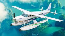 From Hanoi: Seaplane Sightseeing& Luxury Day Cruise in Halong Bay