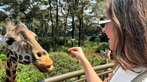 Nairobi National Park and Giraffe Center Daily Tours.