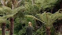 Native Forest Farm Experience Nourishing Nature in Auckland