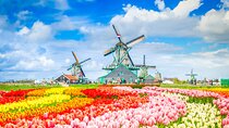Private Tour to Zaanse Schans &Volendam: Cheese, Windmills, clogs