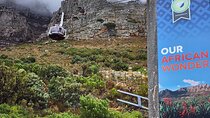 Table Mountain -Penguins- Cape point and kirstenbosch Prvt tour