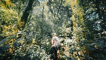 Bali Rainforest Hiking With Canoeing And Waterfall Adventure