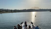 Unforgettable boat trip on the Douro River