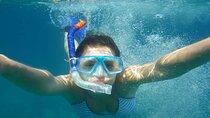  Baru Cartagena Beach Mangroves Snorkeling