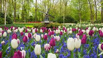 Private Tour: Keukenhof and FlowerFarm Tour From Amsterdam