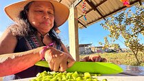 Prehispanic Tacos Cooking Class