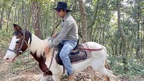Full Day Horse Riding to Sarangkot in Pokhara