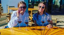 Visit Constantia Wineries + Muzenberg Noordhoek Beaches F/D 