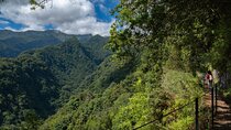 Levada do Rei Ribeiro Bonito Madeira Island Walk