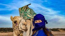Camel Ride With Barbecue 