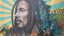 Bob Marleys One Love Private Tour 9 Mile