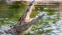Dubai Crocodile Park Entry Tickets
