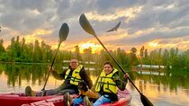Kayak tour in Xochimilco