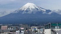 Mount Fuji Oshino Hakkai Sengen Park Sightseeing Day Tour