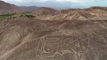 Nazca and Palpa Lines Tour by Land from Ica