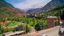 Private Full Day Tour from Marrakech to Ourika