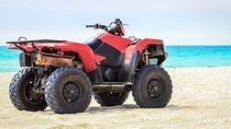 Makadi Seaside and Desert: 2h Quad Bike Adventure
