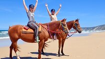 Seaside Adventure: Horse Or Camel Ride With Private Transfers