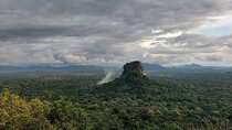 Sigiriya & Dambulla Cave Temple Day Trip from Colombo