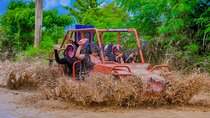 Buggy Tour with Organic Farm, Macao Beach Visit from Punta Cana