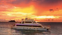 Kota Kinabalu Sunset Cruise with Dinner, Live Band & Hotel Pickup
