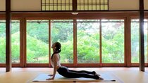 Zen Temple Yoga and Meditation in Kyoto 