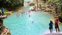 Dunn's River Falls and Blue Hole Secret Falls Combo Daytrip