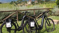 LUCCA E-BIKE -the cycle path and the rinassance villas