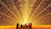 Nagashima Mitsu Outlet & Nabana no Sato Illumination Bus Tour
