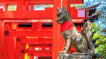 Fushimi Inari Deep Shinto Shrine Tour while Hiking with Expert 