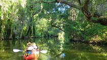 Tavares Half-Day Kayak Rental for Two on the Dora Canal