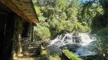 Explore Trails in the Atlantic Forest at the Brazilian Falls