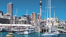 1 Night Auckland - Arrival Option with Auckland Sightseeing