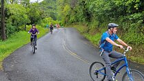 Downhill Bike and Ko'olau Waterfall Hike Tour 