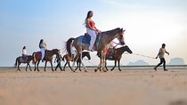 Krabi Horse Riding at The Beach