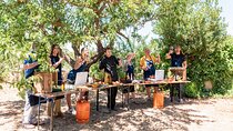 Cooking Workshop Tapas and Paella in Ibiza