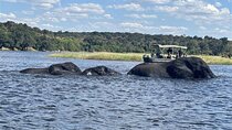 The Chobe Safari Day trip from Livingstone 