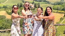 Tuscany Wine Tour: 2 Wineries & San Gimignano from Florence